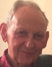 martin donohue