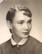kerry schacht