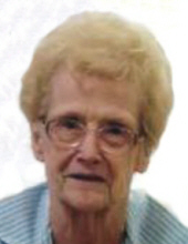 shirley bernabucci