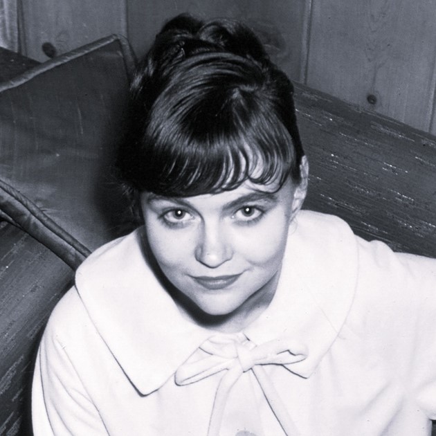 alison chapman