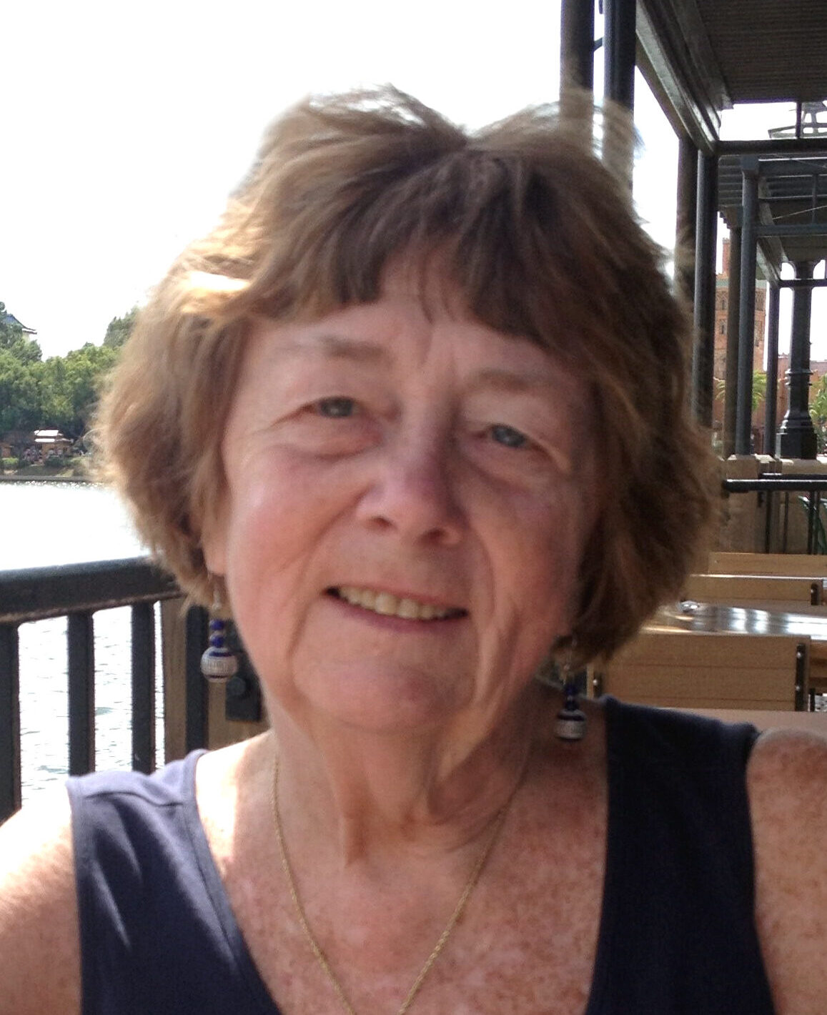 diane tomlinson