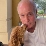 david depalma Gallery